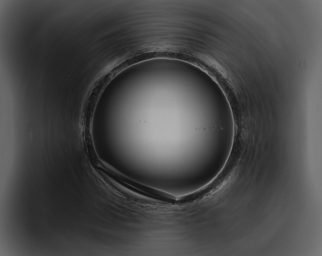 X0000095950922200801111347