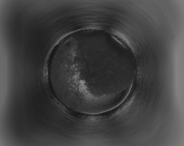 X0000095950923200801111347