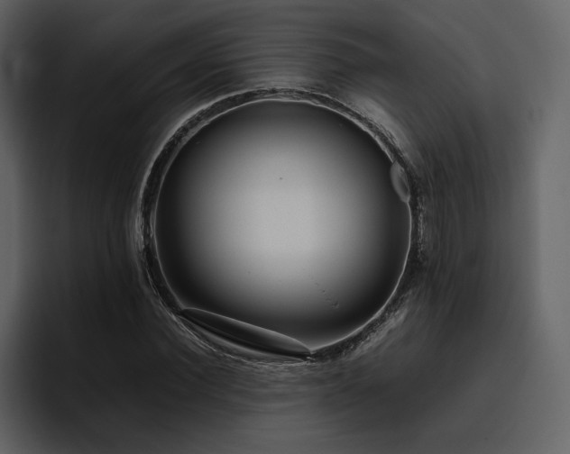 X0000095950924200801111347