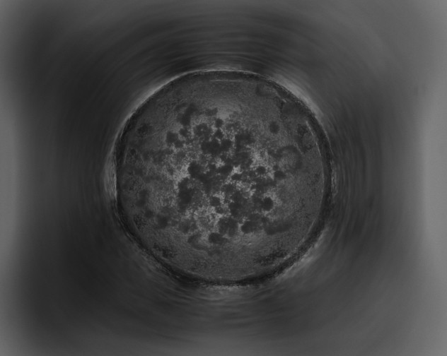 X0000095950925200801111347