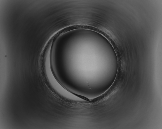 X0000095950926200801111347