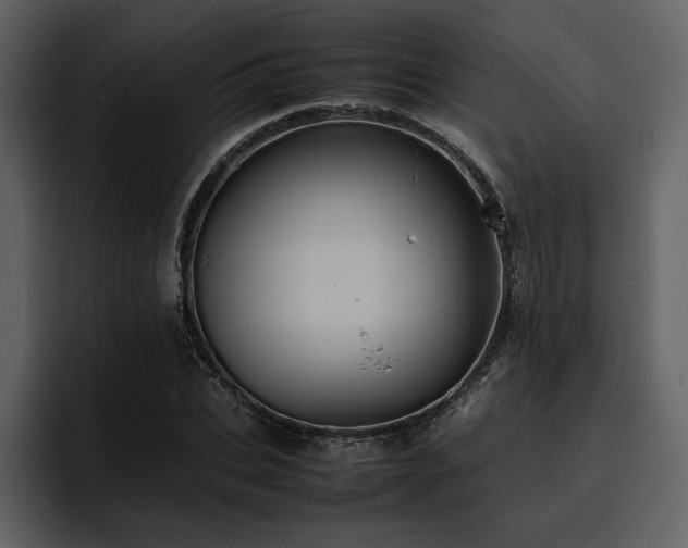 X0000095950927200801111347
