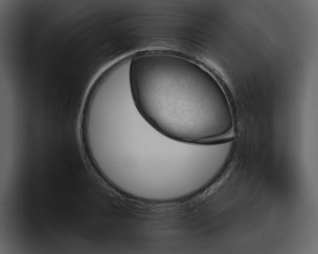 X0000095950928200801111347