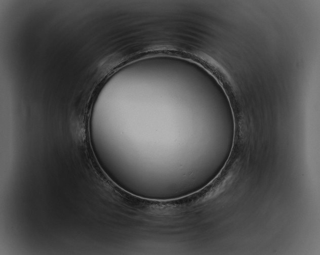 X0000095950929200801111347