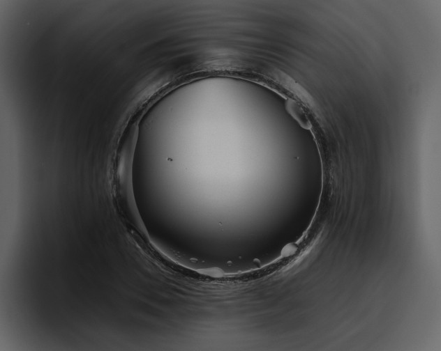 X0000095950930200801111347