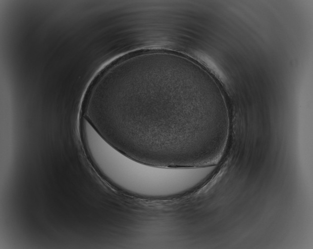 X0000095950932200801111347