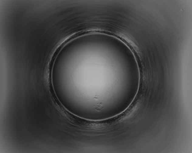 X0000095950933200801111347