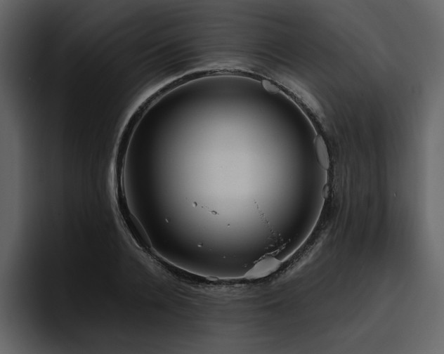 X0000095950936200801111347
