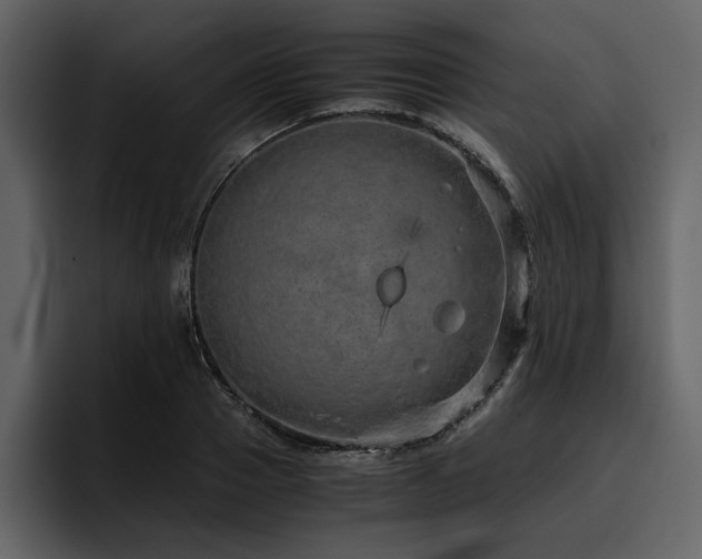 X0000095950937200801111347