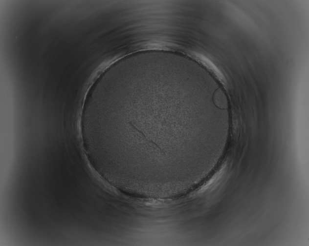 X0000095950938200801111347
