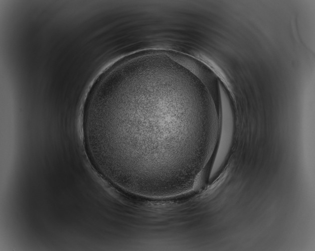 X0000095950939200801111347