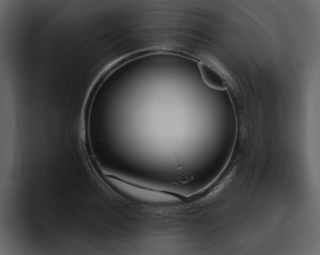 X0000095950940200801111347