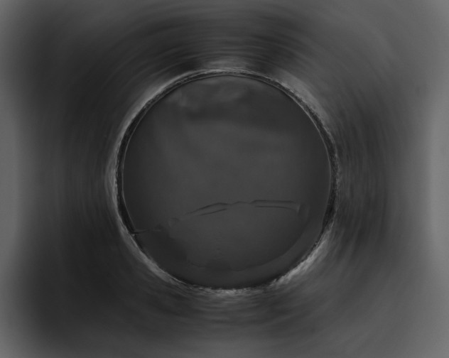 X0000095950941200801111347