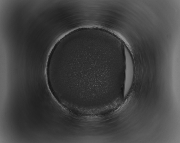 X0000095950943200801111347