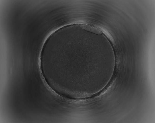X0000095950944200801111347
