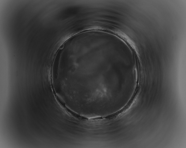X0000095950945200801111347
