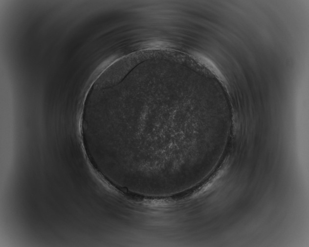 X0000095950946200801111347
