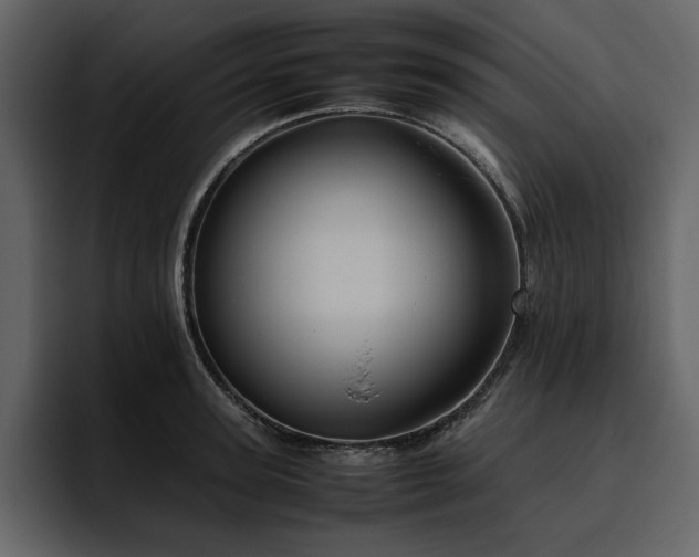 X0000095950947200801111347