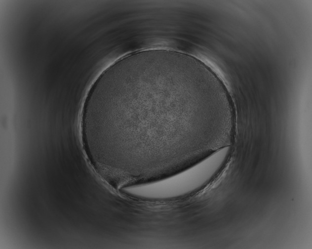 X0000095950949200801111347