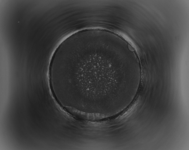 X0000095950951200801111347