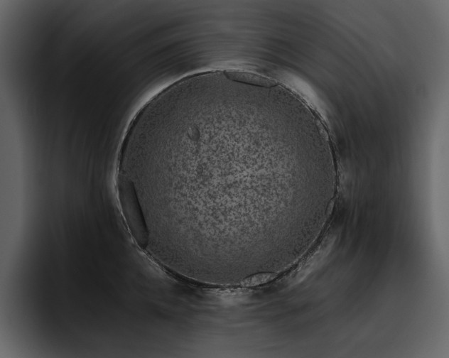X0000095950952200801111347