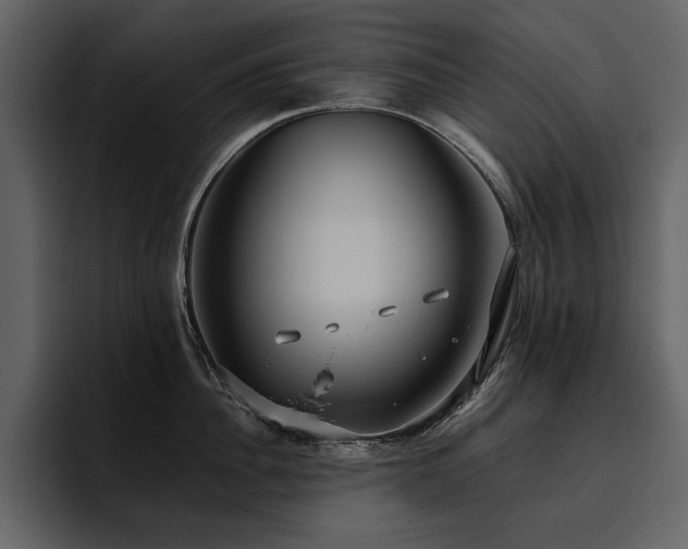 X0000095950956200801111347