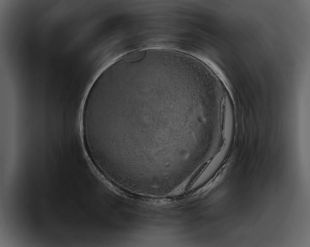 X0000095950957200801111347