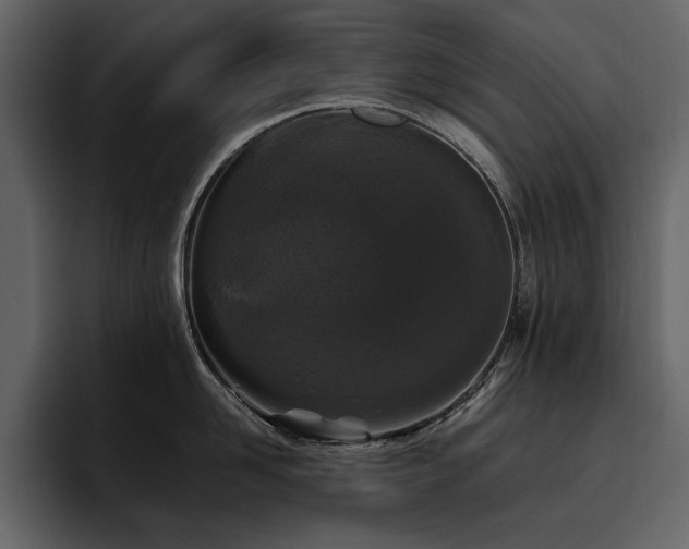 X0000095950958200801111347