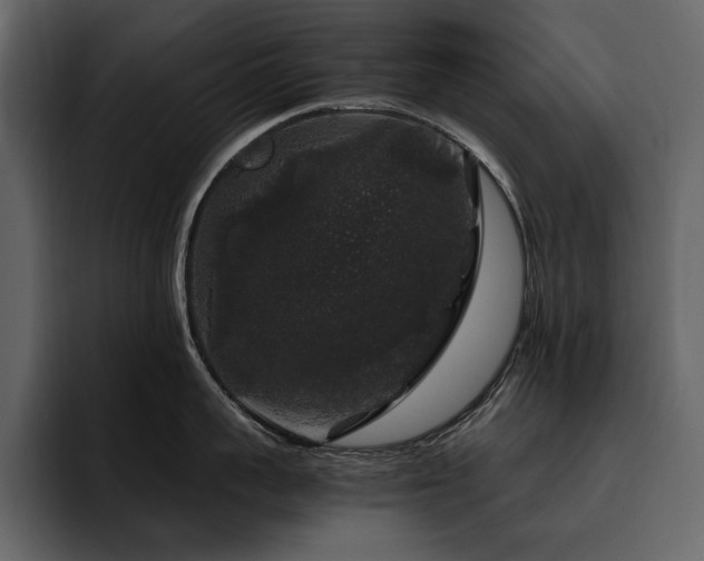 X0000095950959200801111347