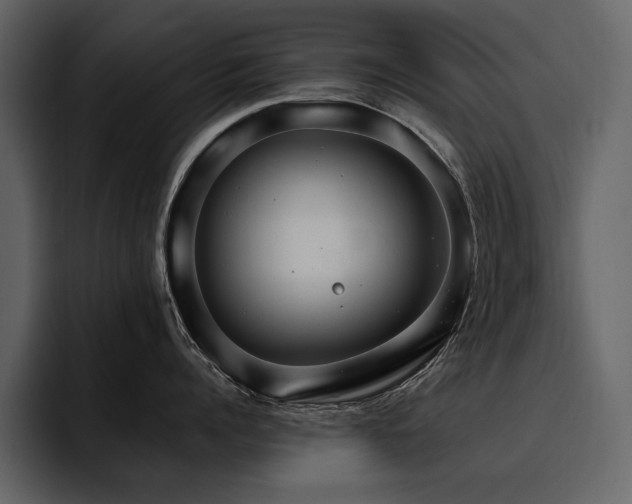 X0000095950960200801111347