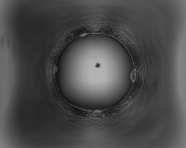 X0000095950961200801111347