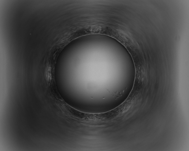 X0000095950962200801111346