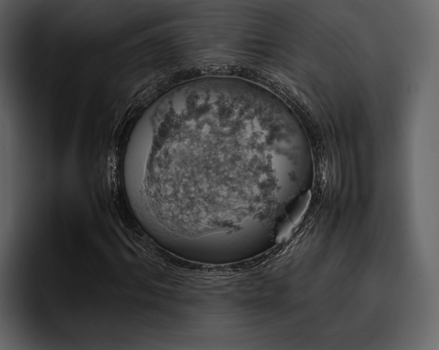 X0000095950964200801111346