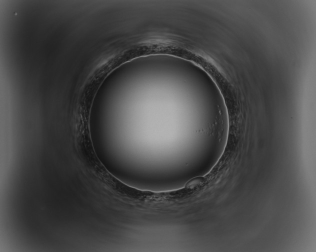 X0000095950967200801111346