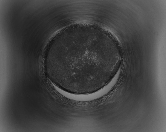 X0000095950968200801111346