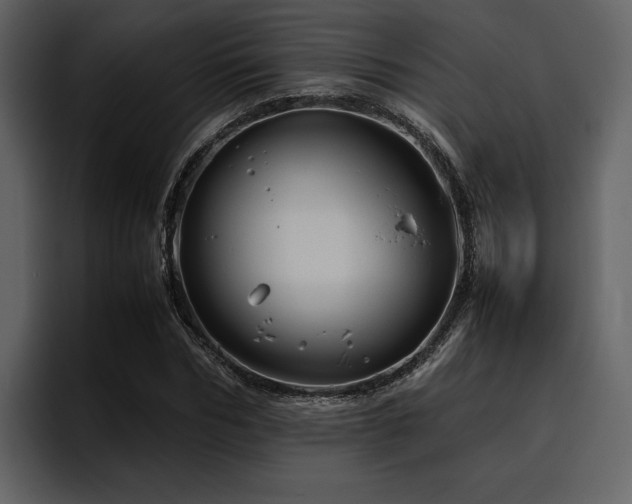 X0000095950970200801111346