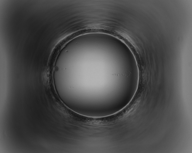 X0000095950971200801111346