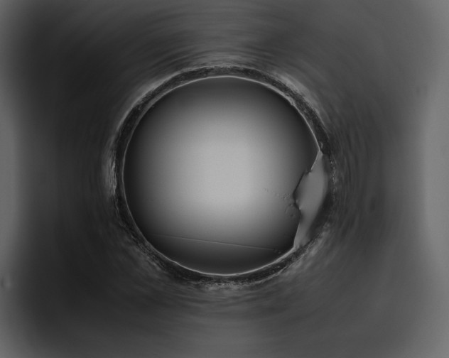 X0000095950973200801111346
