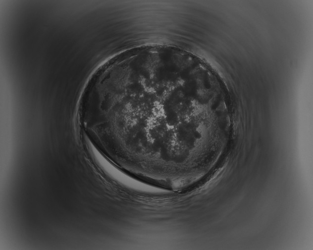 X0000095950975200801111346