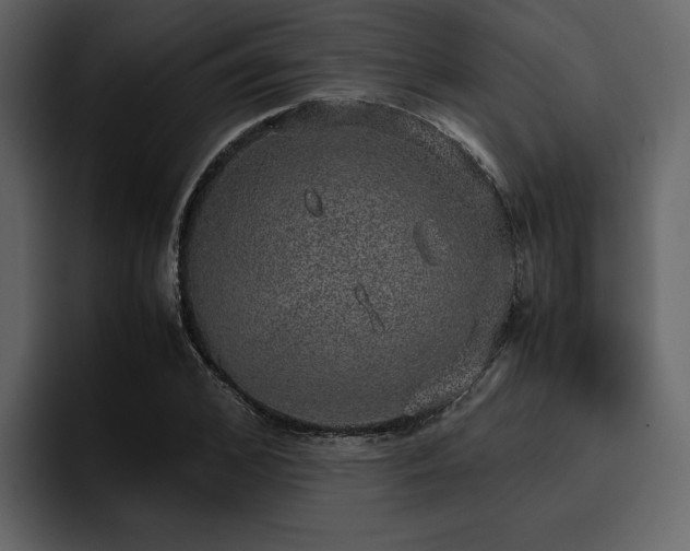 X0000095950976200801111346