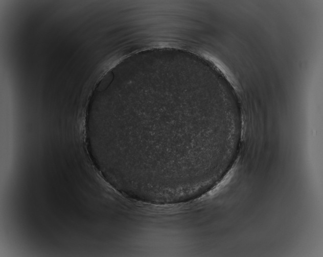 X0000095950977200801111346