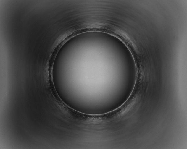 X0000095950978200801111346