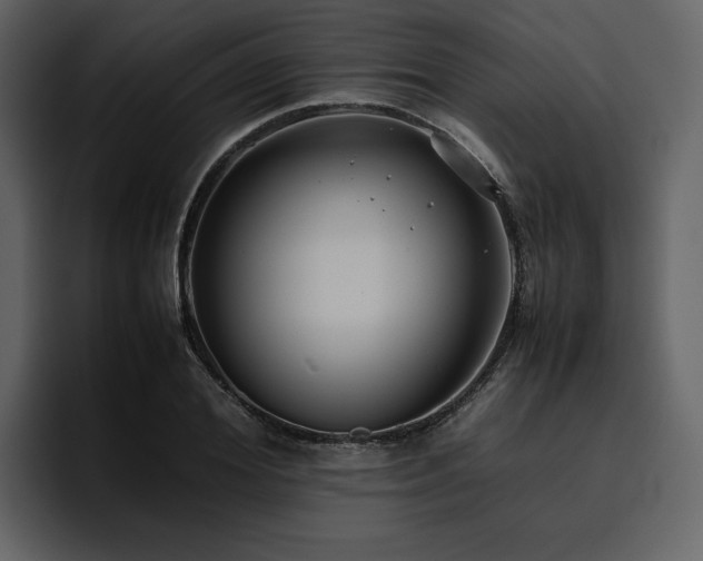 X0000095950980200801111346