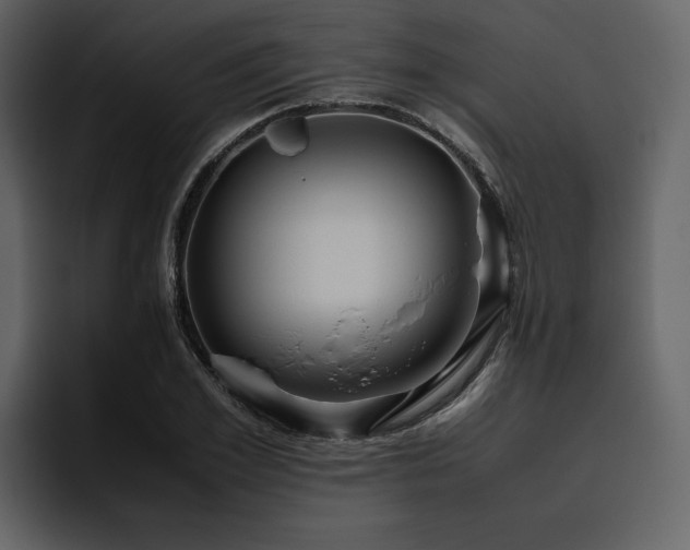 X0000095950981200801111346