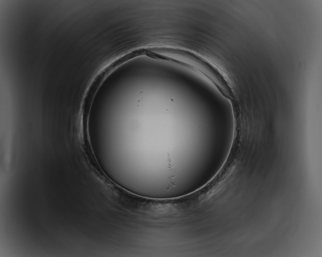 X0000095950982200801111346