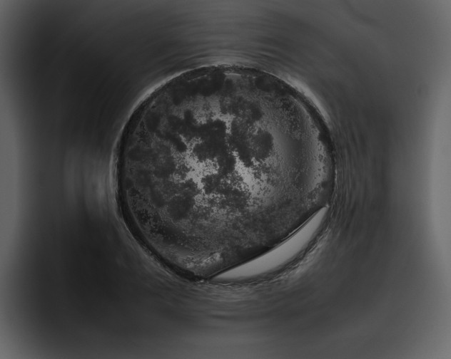 X0000095950983200801111346