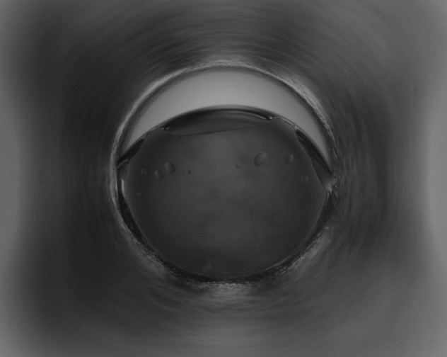 X0000095950984200801111346