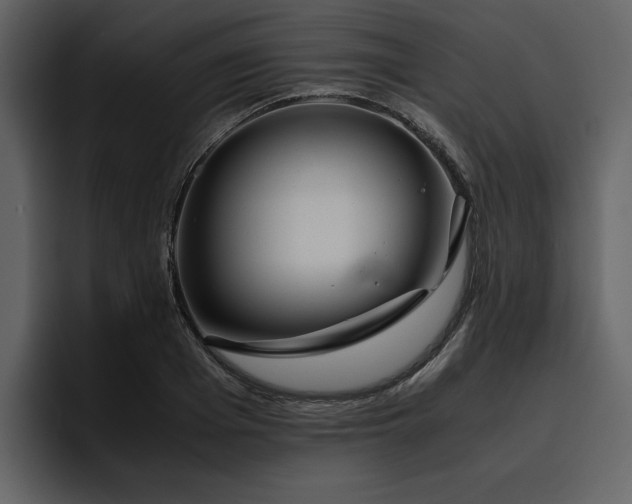 X0000095950985200801111346