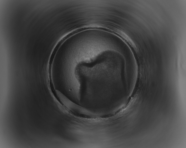X0000095950988200801111346