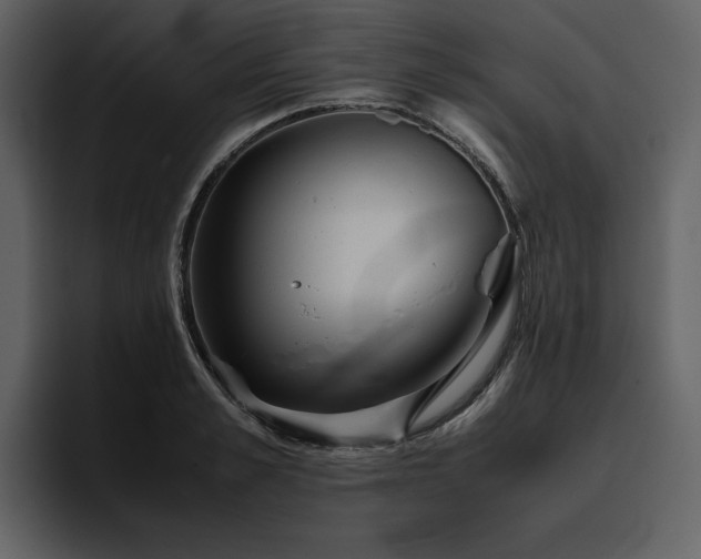 X0000095950989200801111346